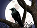 The Secret of Margrave Manor game